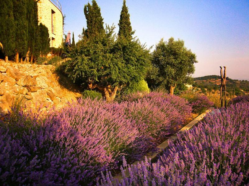 La Costa Casita Ferienhaus Son Macia (Mallorca)